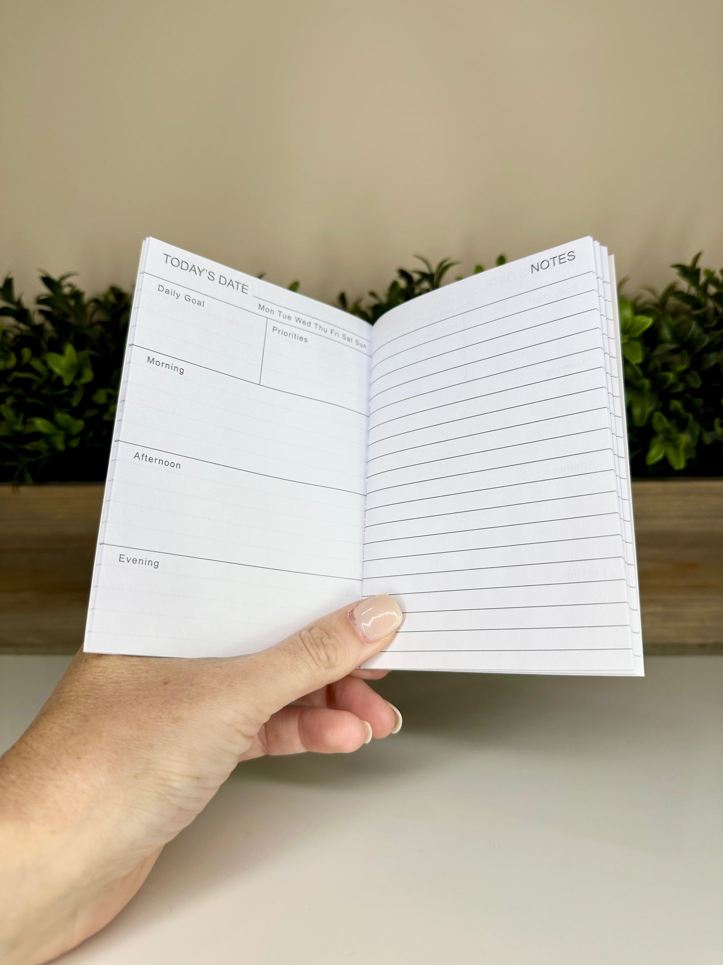 Cat and Books Light Sage Mini Daily Planner Notebook