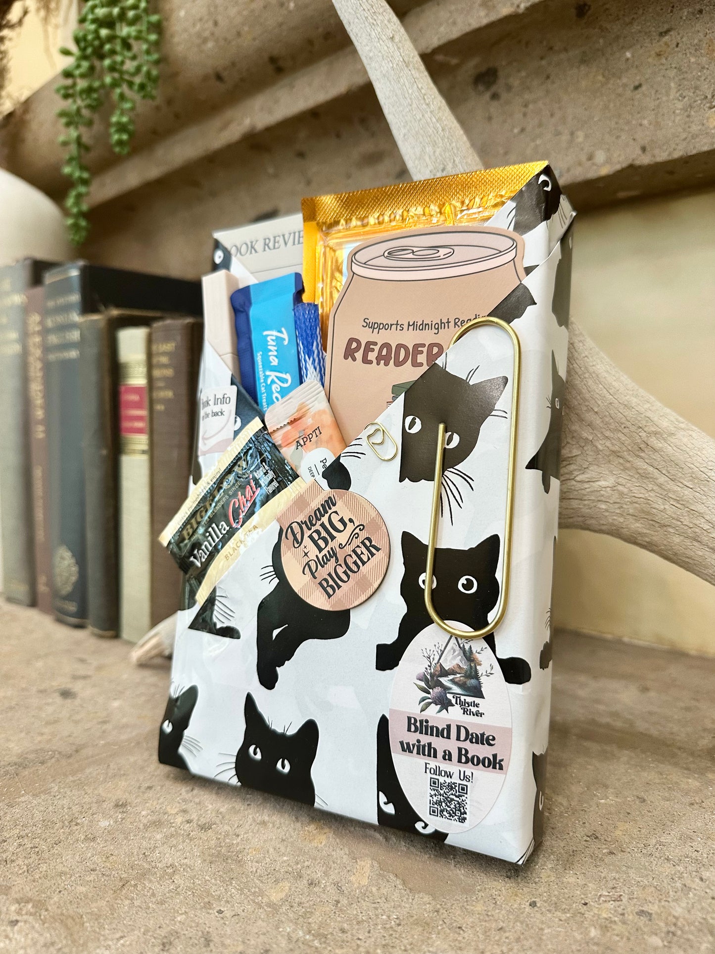 BDWAB with Cat Gifts | Historical Fiction | 2516