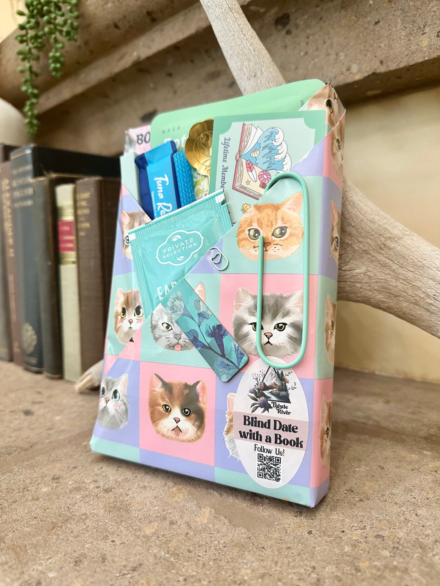 BDWAB with Cat Gifts  | Romance | 2517